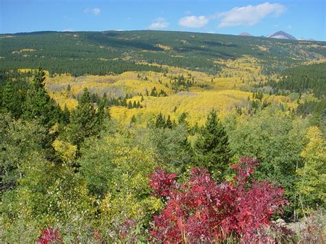 arapaho roosevelt national forest